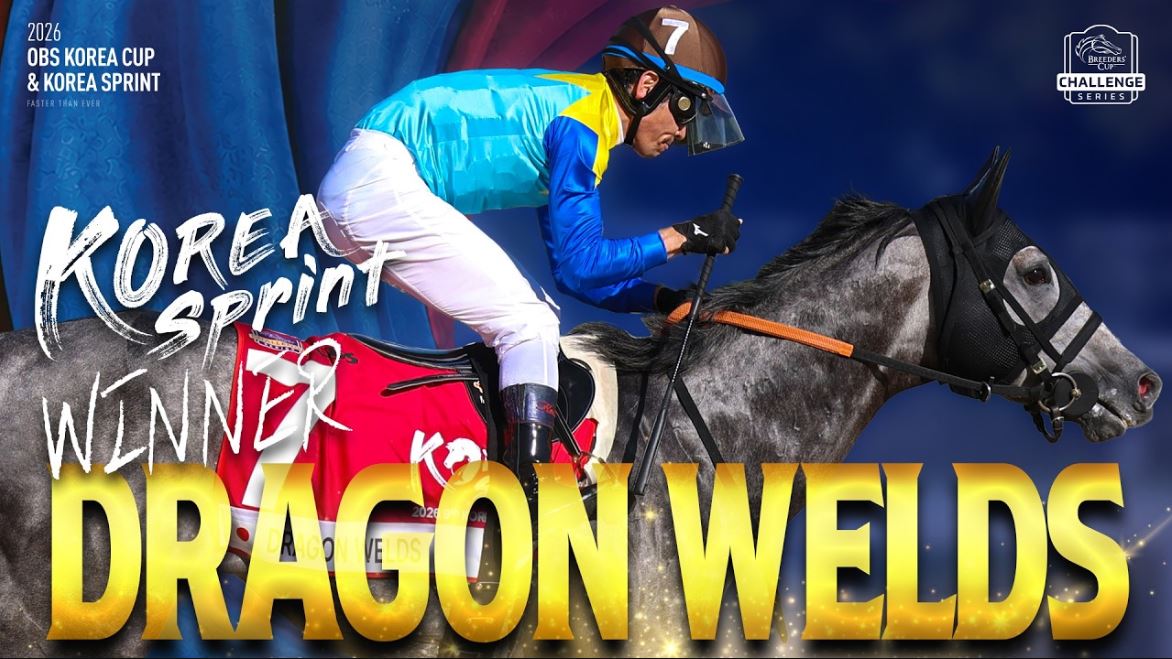 [�ڸ��ƽ�����Ʈ]VERY VERY HORSE ����� �̹���