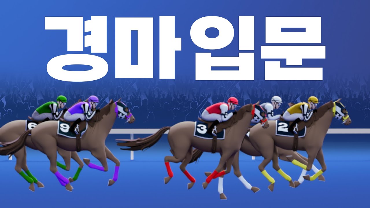 [경마 기본 규칙]경마에 입문하고 싶다고?ㅣ KRBC 경마 가이드