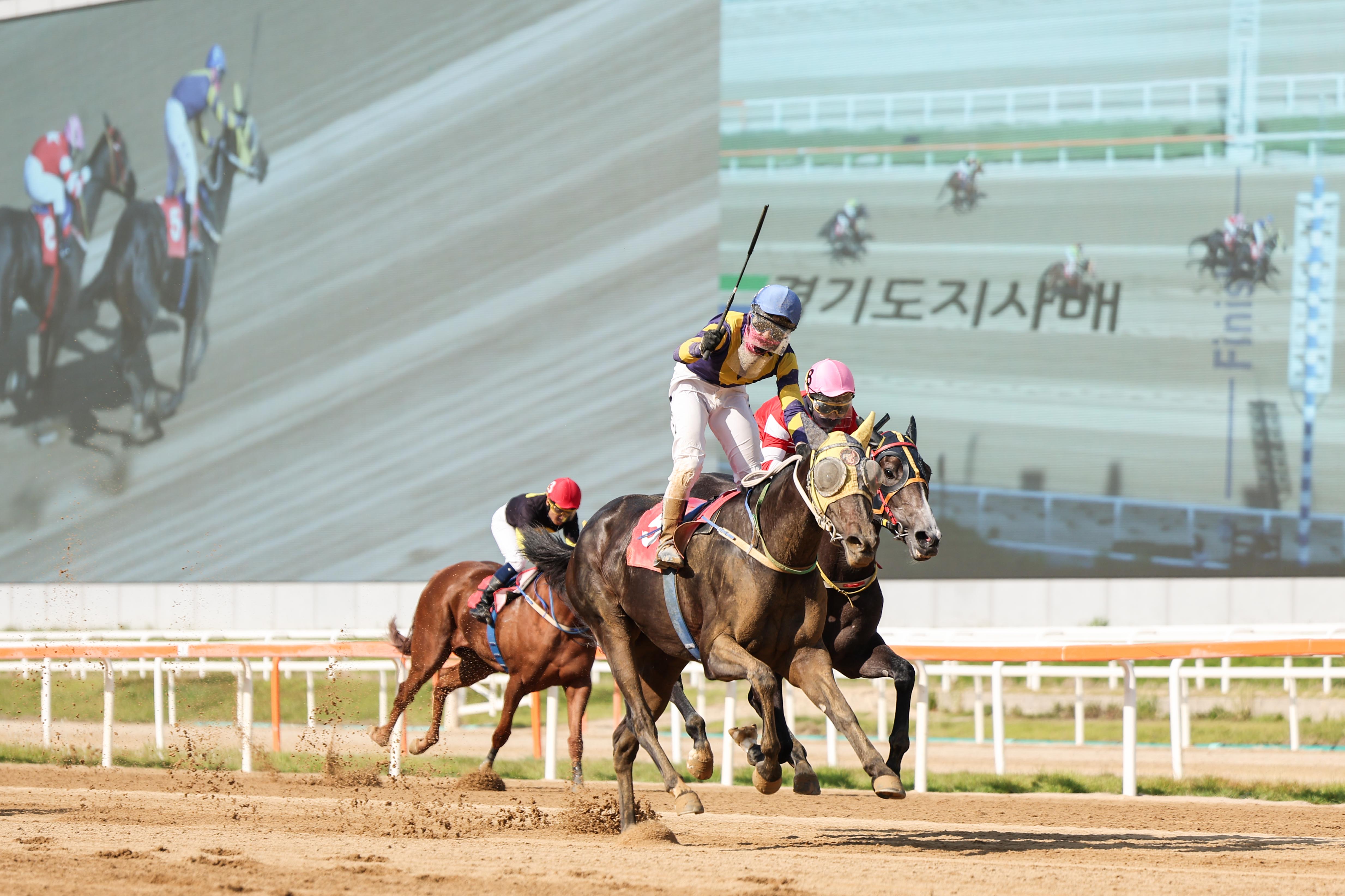 24년6월9일 경기도지사배 세이렌 장추열 (29).jpg