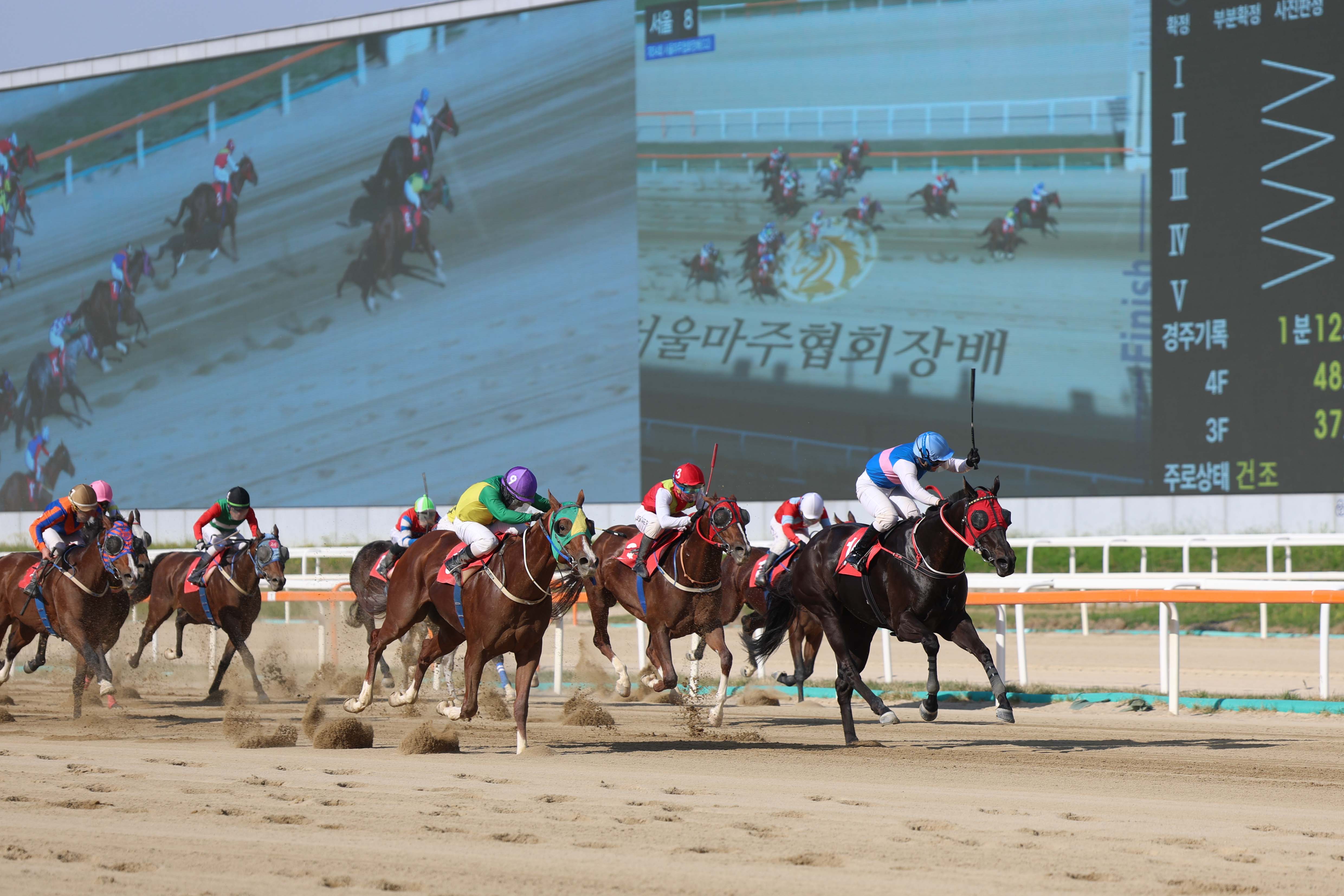 26년 5월 17일 제34회 서울마주협회장배 