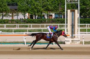 26년 5월 17일 제36회 스포츠조선배 